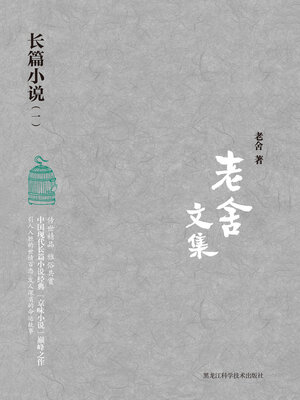 cover image of 长篇小说（一）